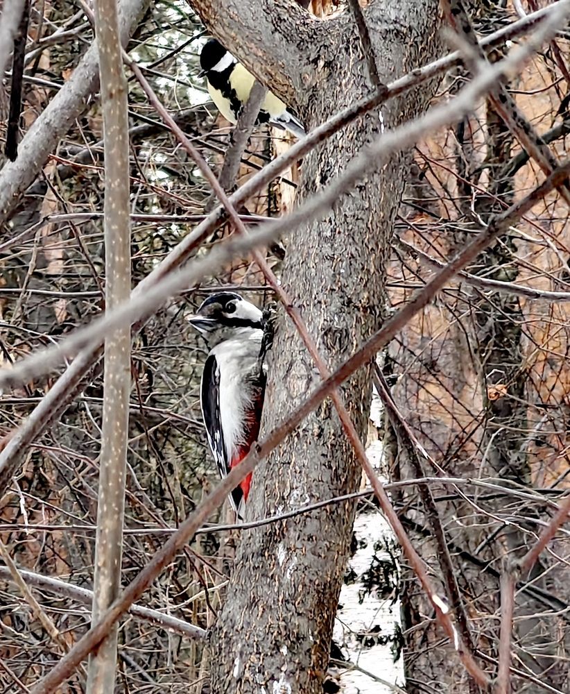 Фотография автора Максим Тельтевский