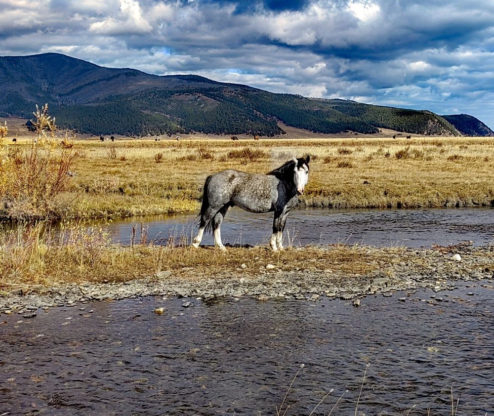 Фотография автора Максим Тельтевский