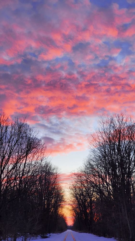 Cotton Candy Morning