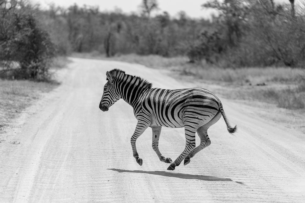 Фотография автора Raju Nair