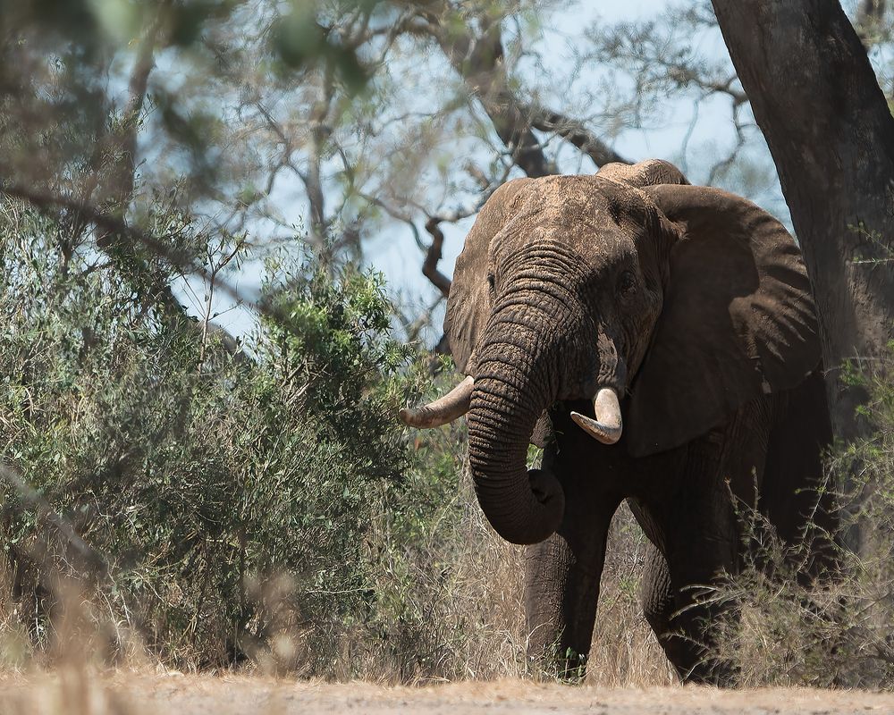 Фотография автора Raju Nair