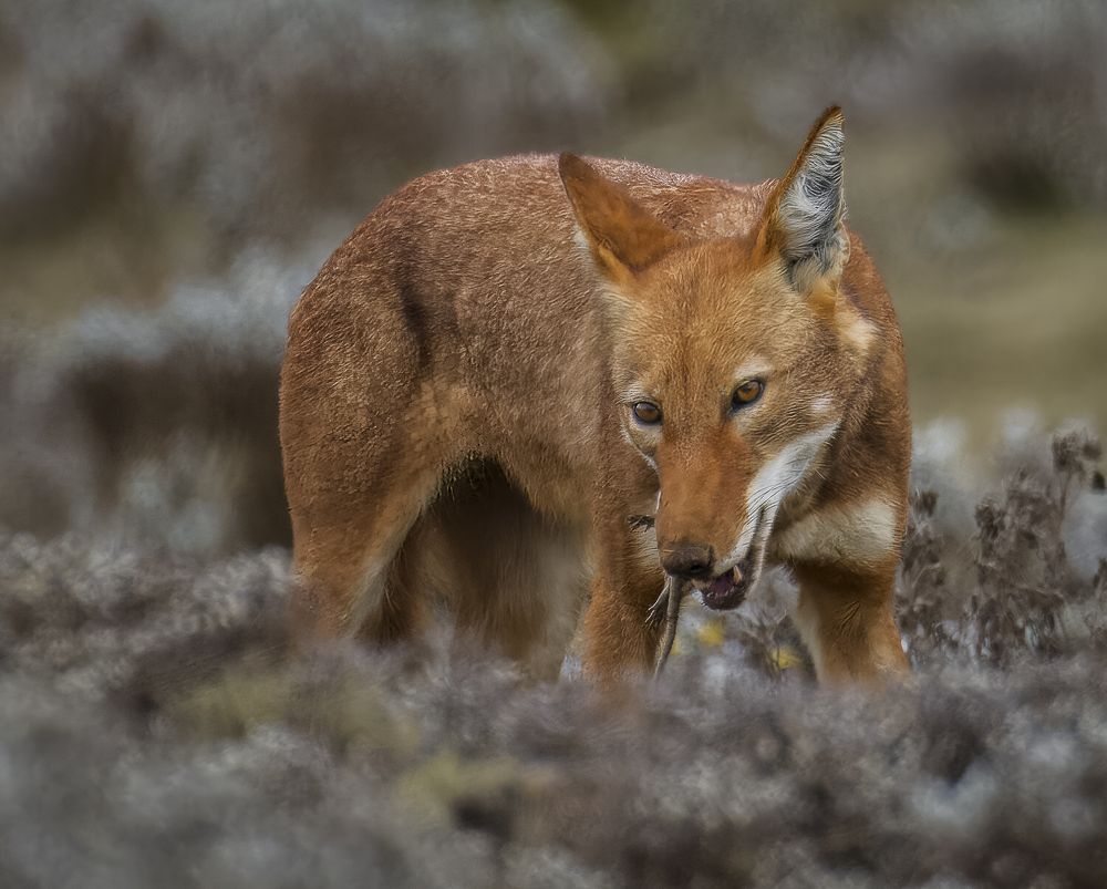 Photograph by Turgay Uzer