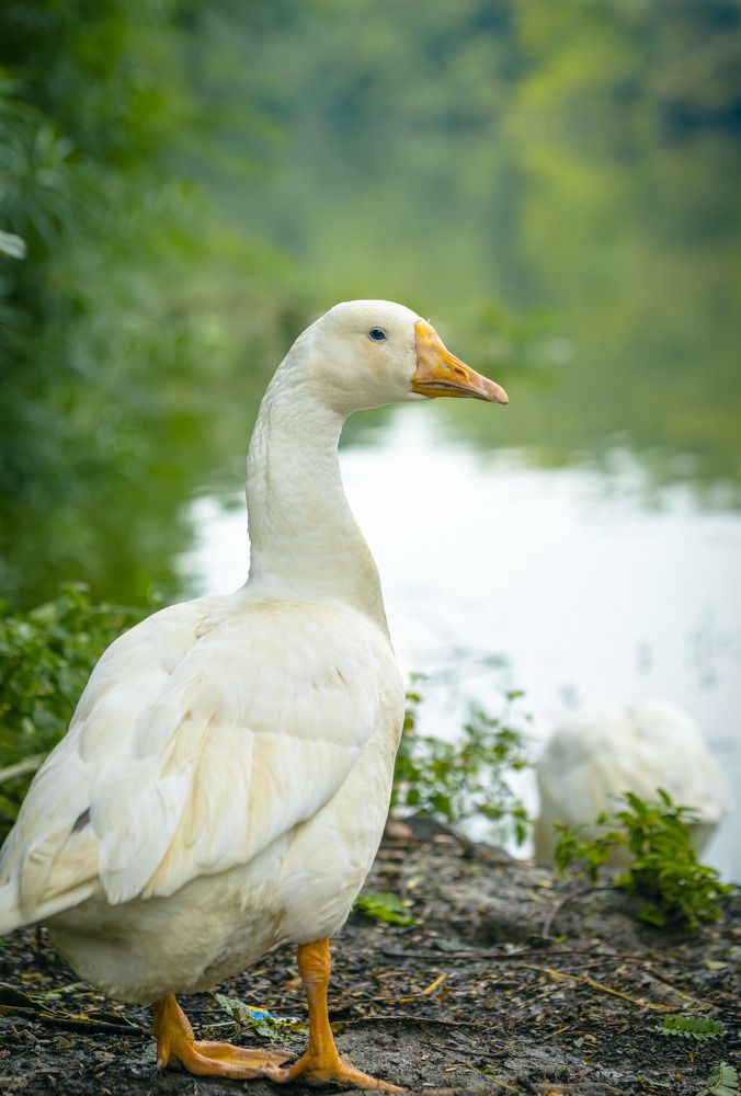 Фотография автора Mrinal Ranjan