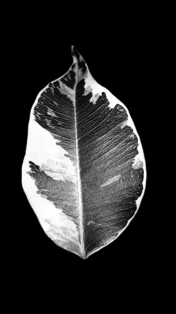 Photograph by Егор Жук