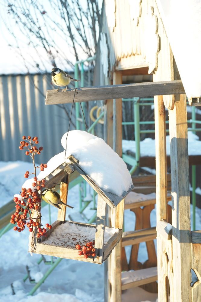 Photograph by Любовь Лунина