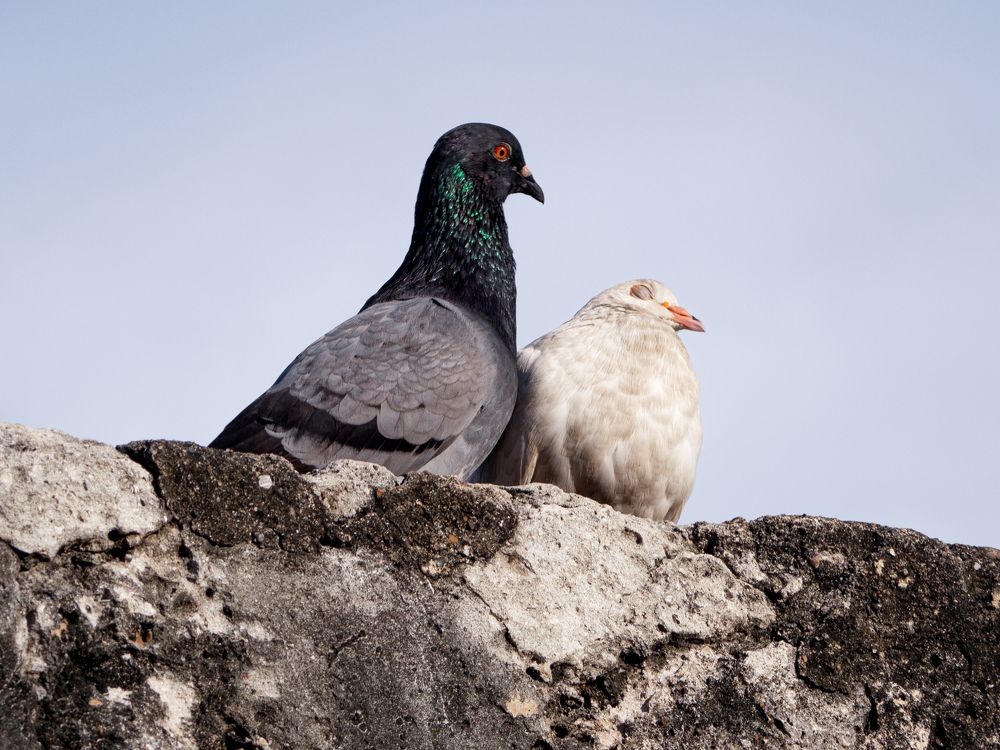 Фотография автора Camilo Rojas
