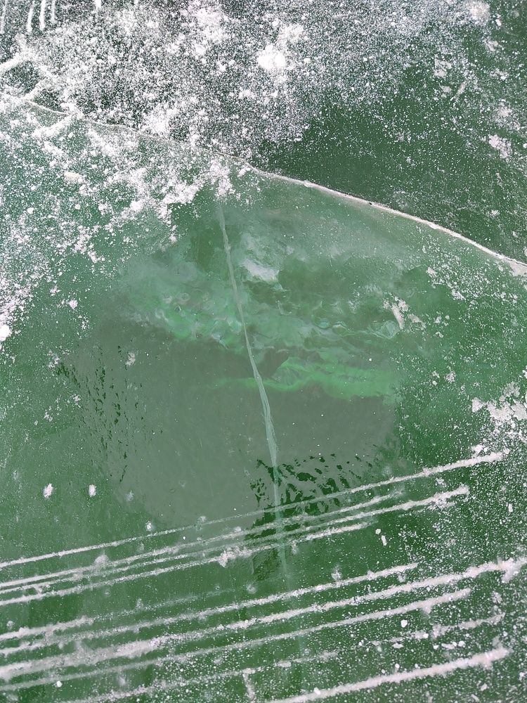 Следы дрифта на льду.