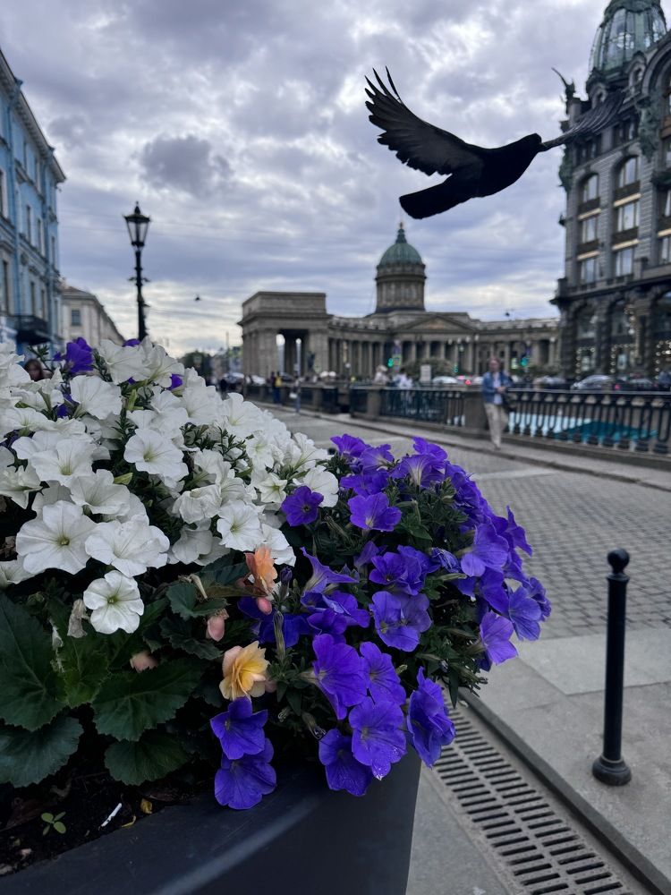 Photograph by Кристина Сидорова