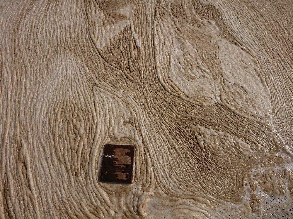 Картина из морской пены.