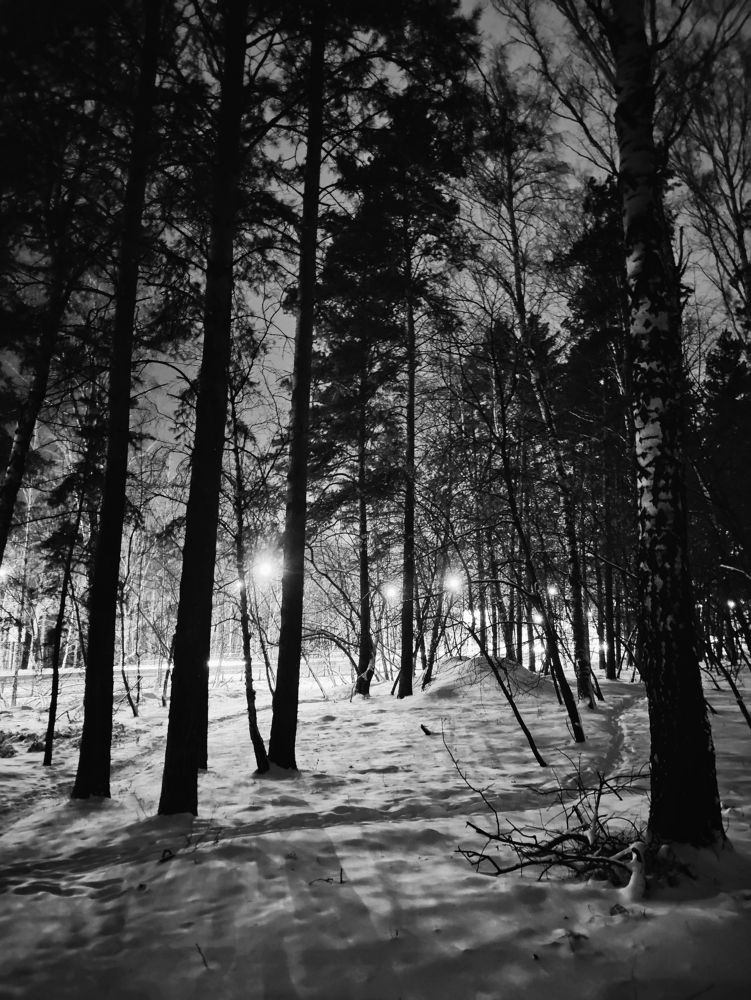 Photograph by Olena Chertous