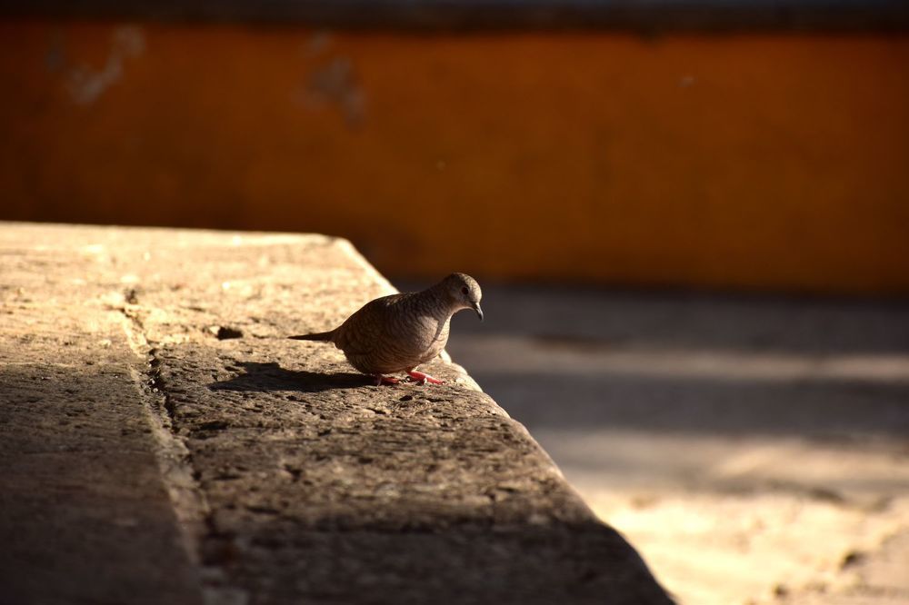 Photograph by Rubén Rodríguez