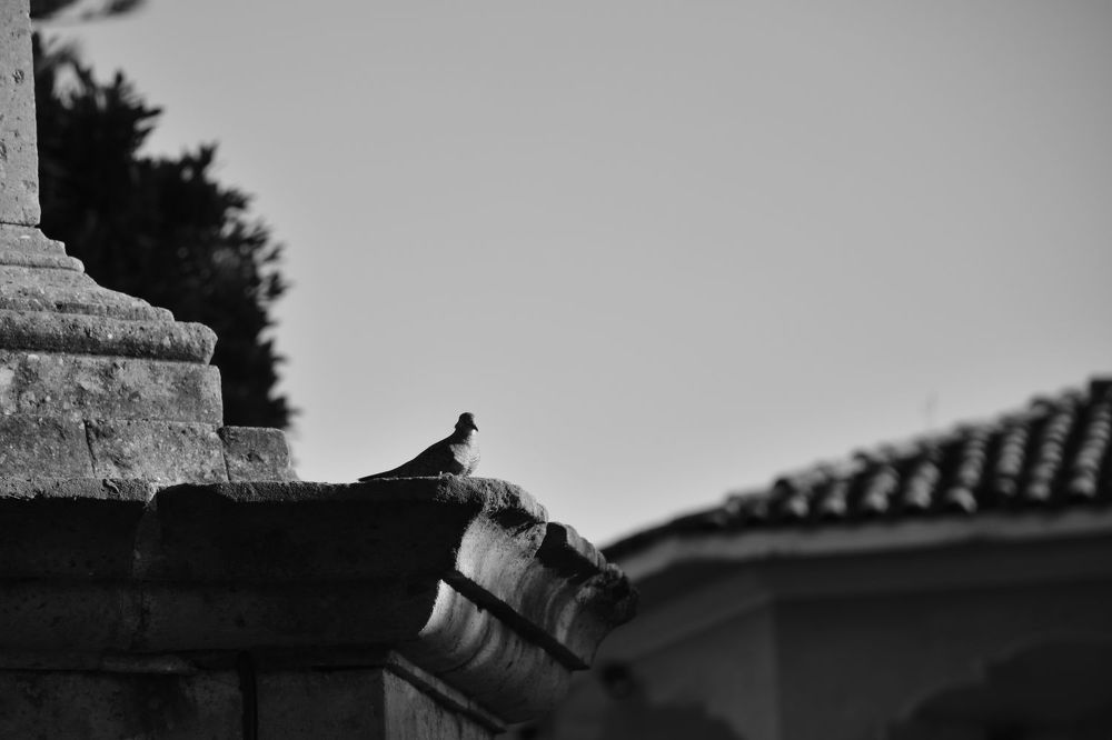 Photograph by Rubén Rodríguez