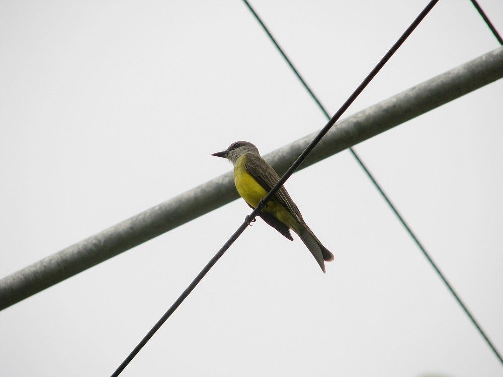 Photograph by Rodrigo Sanchez-Mosquera