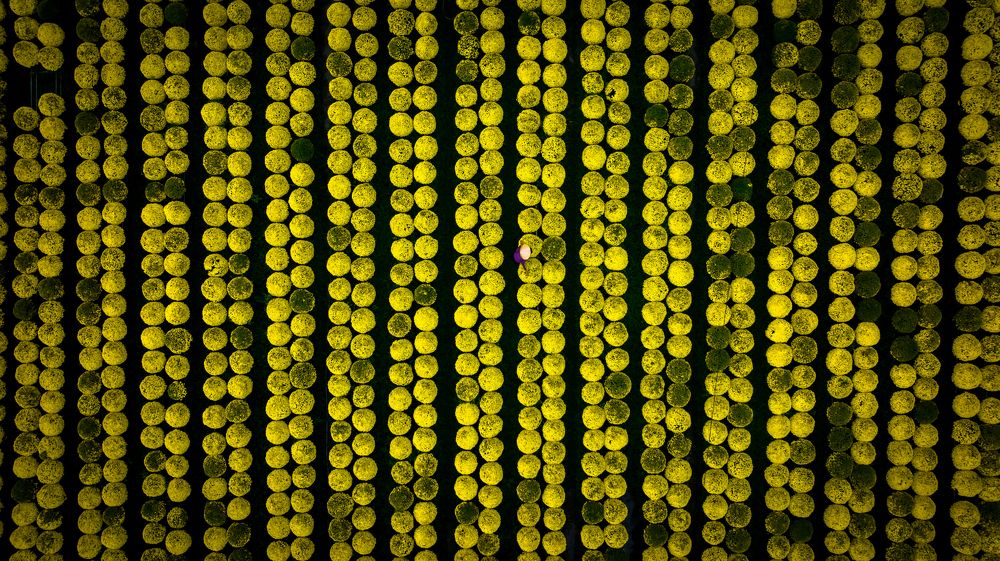 Photograph by Minh Tú Nguyễn