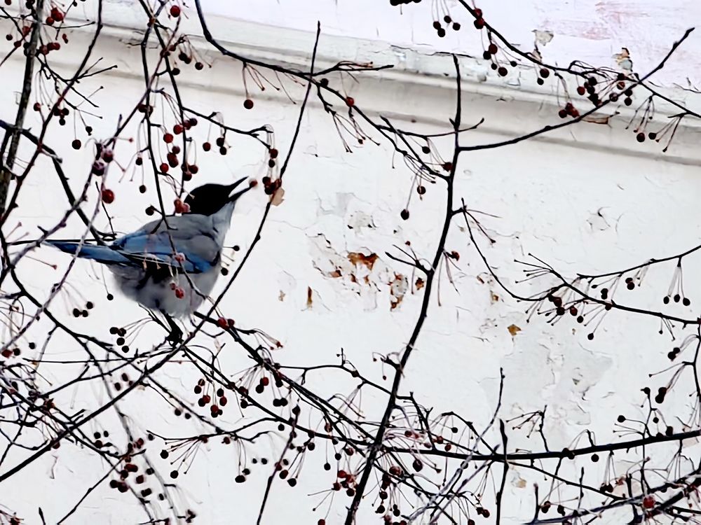 Фотография автора Максим Тельтевский