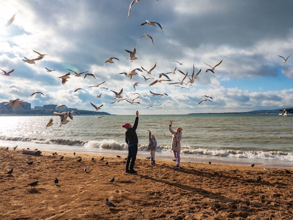 Photograph by Борис Полтавец