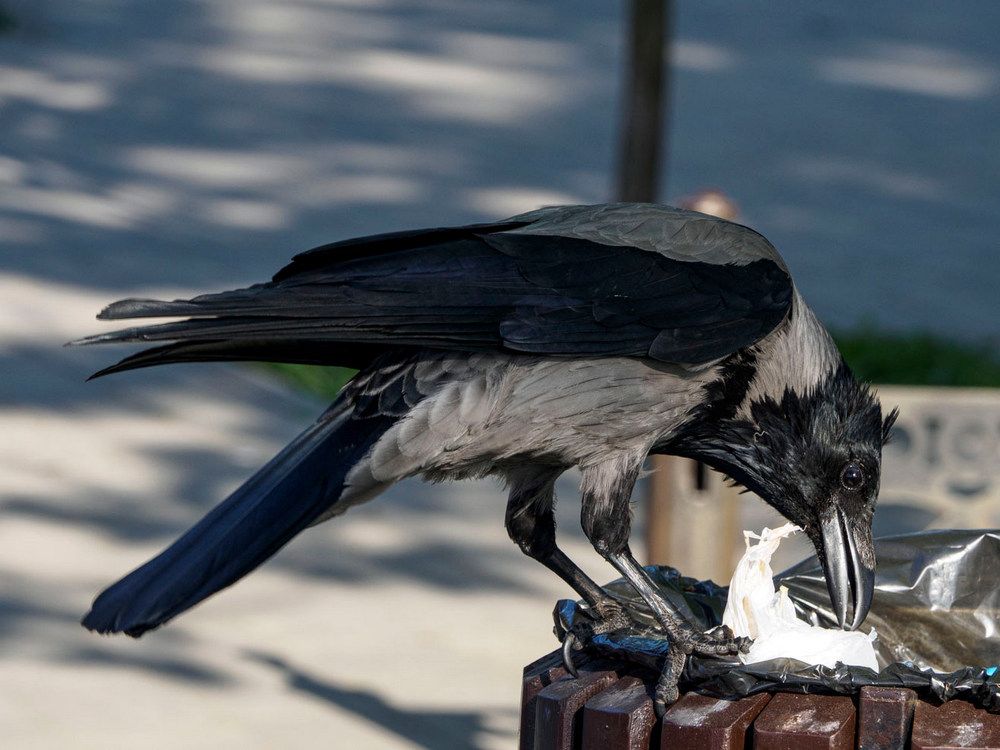 Photograph by Борис Полтавец