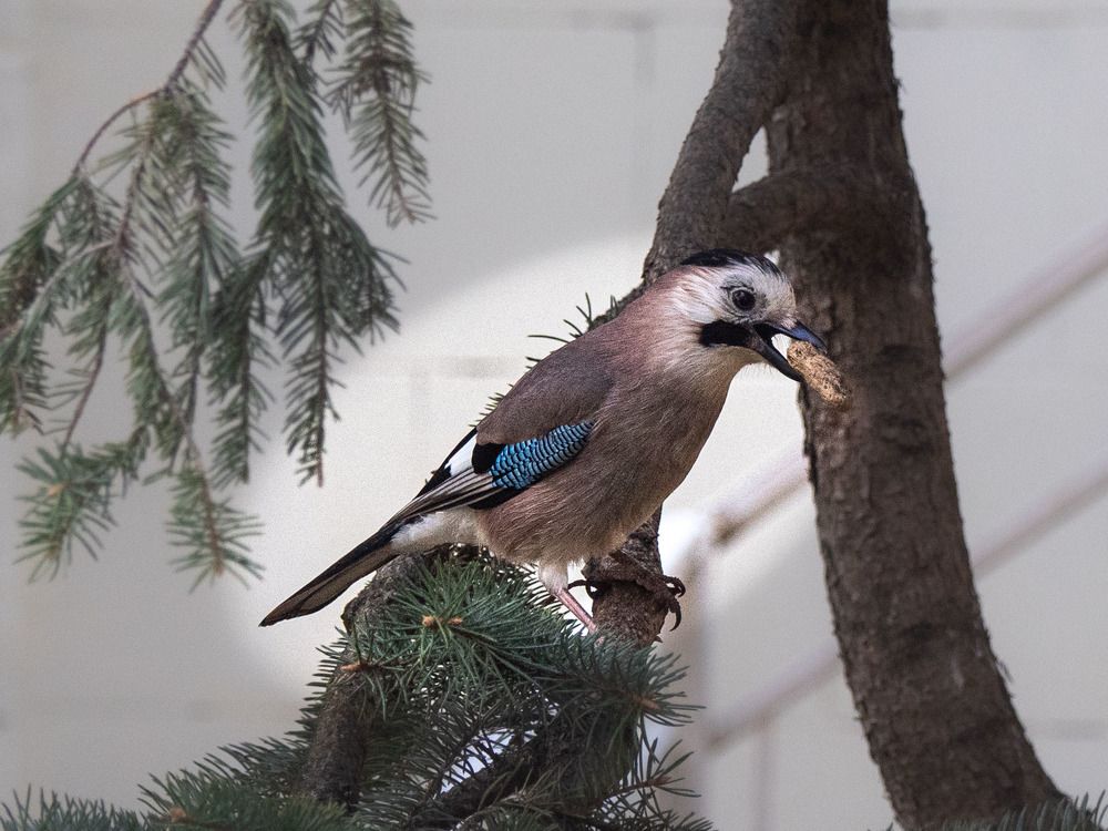 Photograph by Борис Полтавец