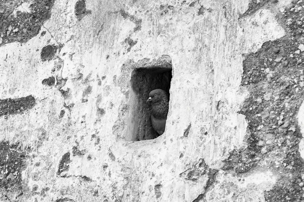 Photograph by DHRUV CHAUHAN