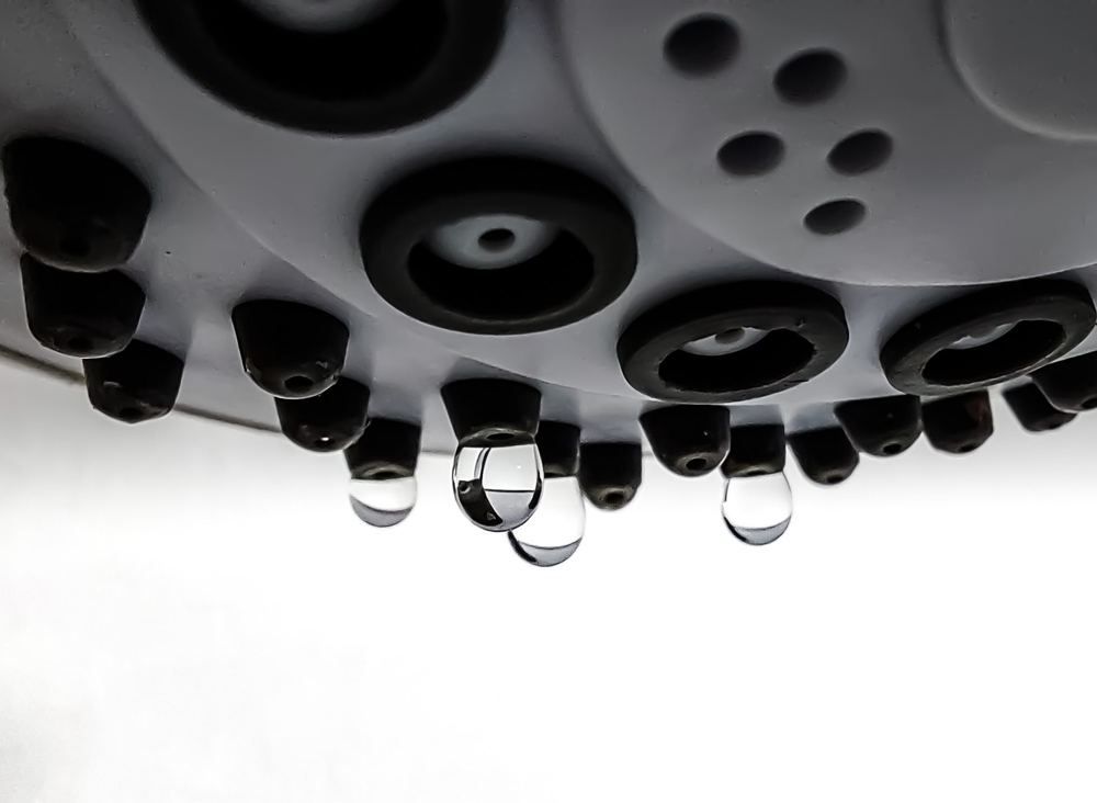 Photograph by Michael