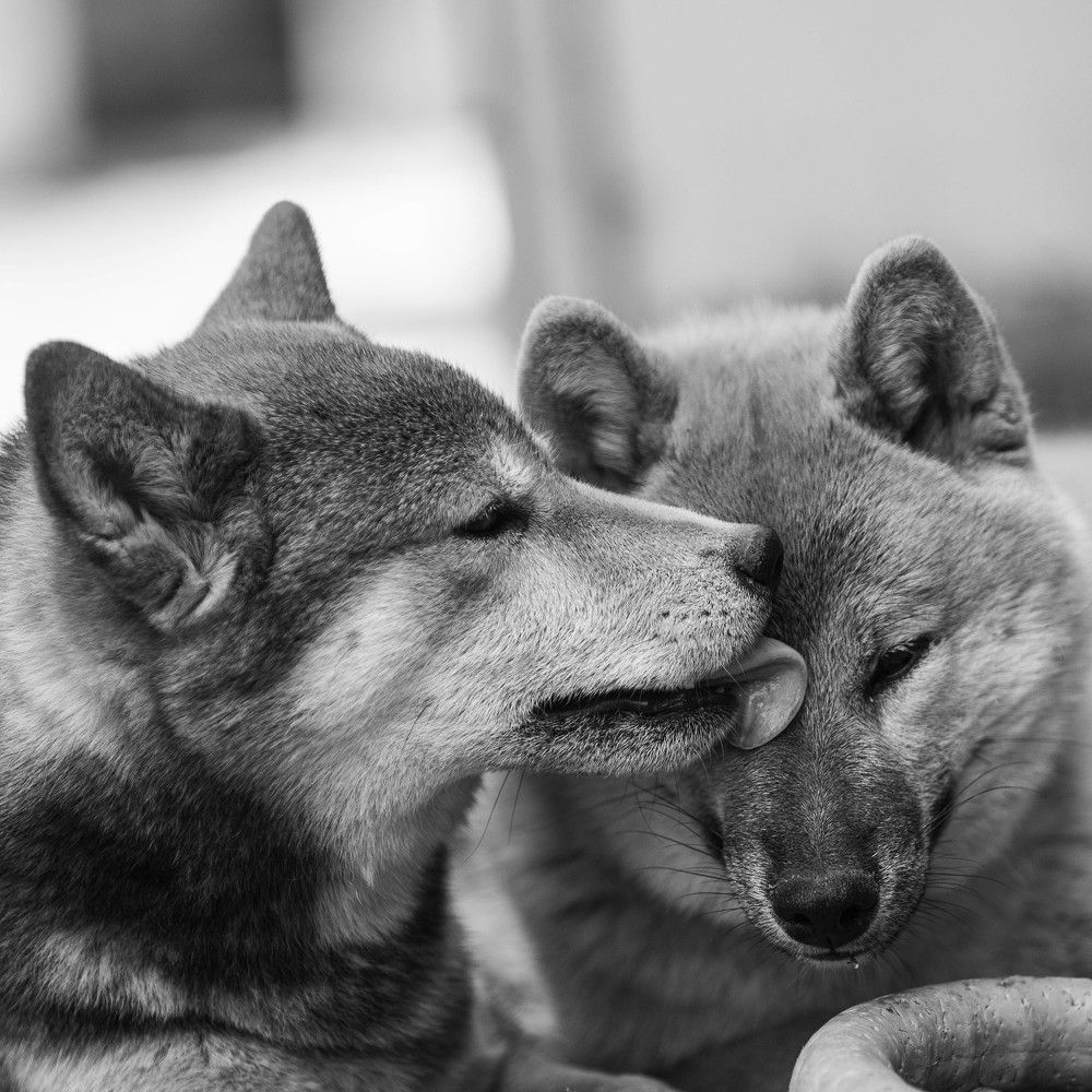 Отцы и дети