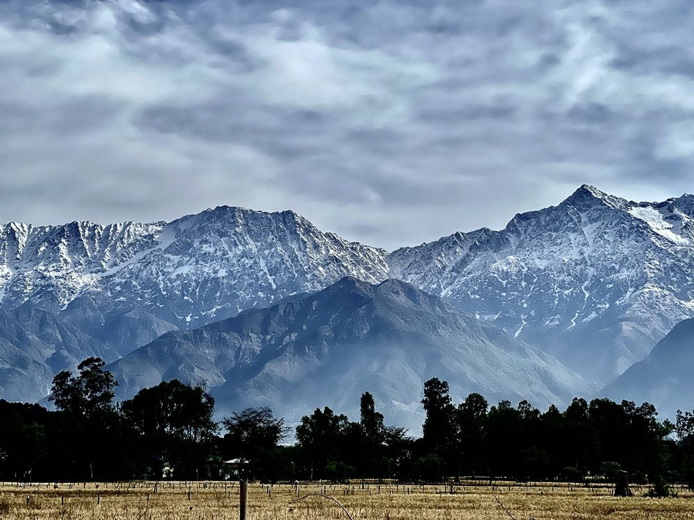 Photograph by Sharma Dr Megha