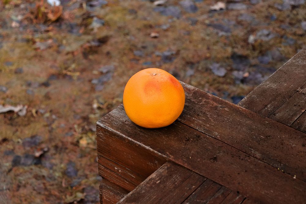 Photograph by Елена Карасёва
