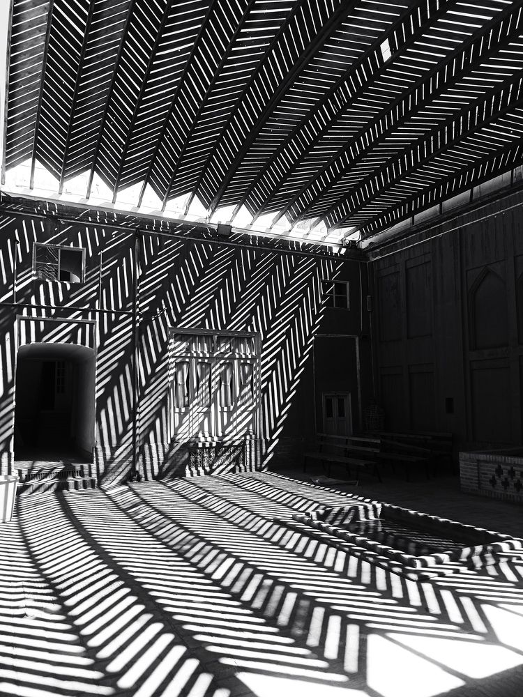 Photograph by MaryamTork