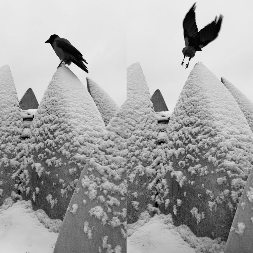 Photograph by Ника Киреева