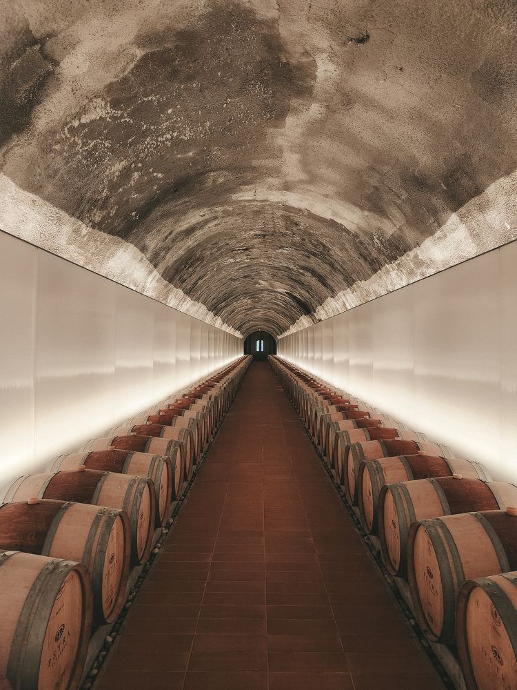 Photograph by Inna Iudina