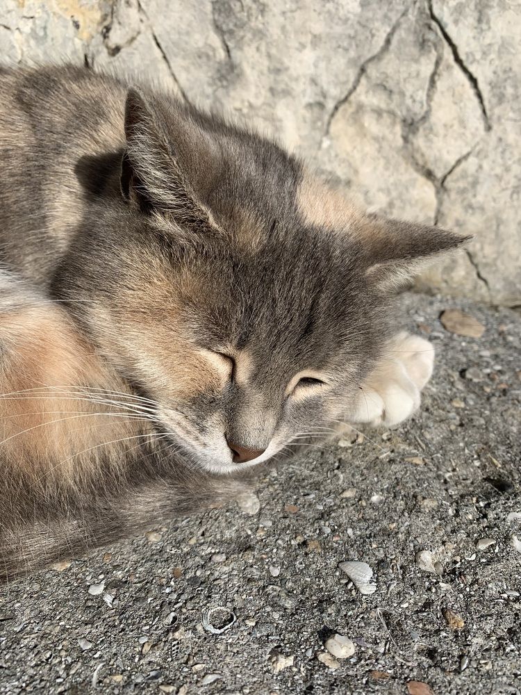 Photograph by Игорь Ребров