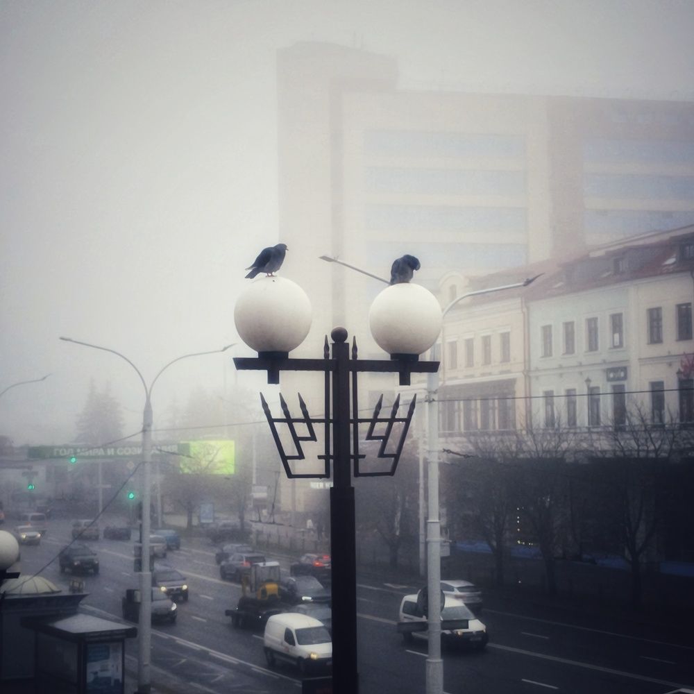 Photograph by Halina Basyanok