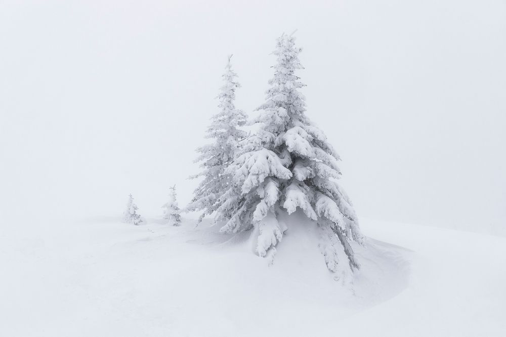 Photograph by Толстоноженко Илья