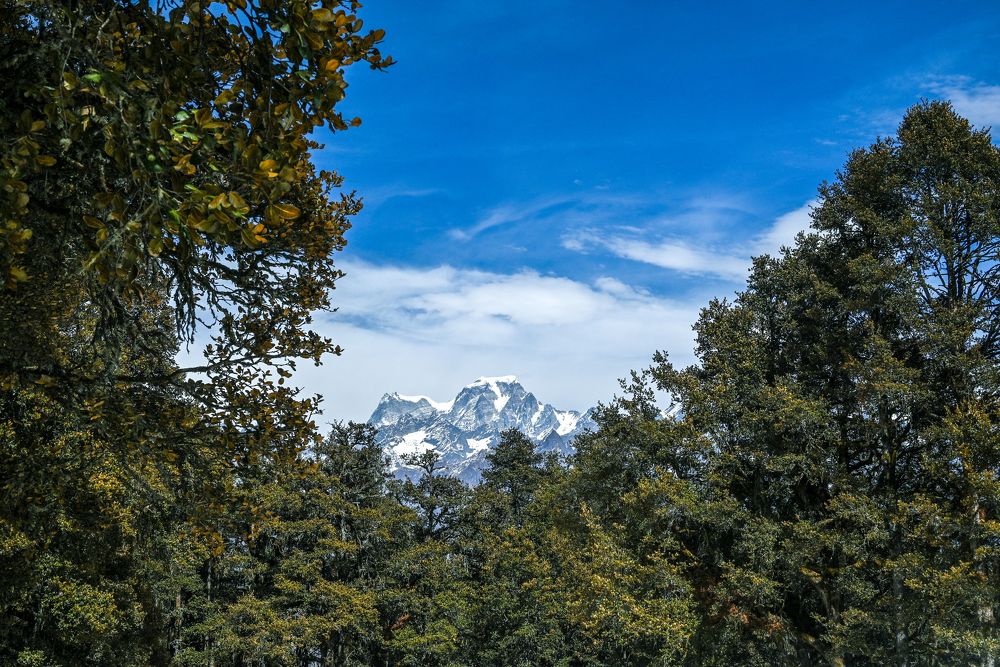 Фотография автора Мукеш Шарма