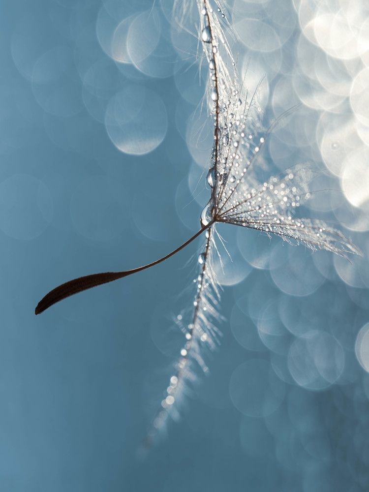 Photograph by Лапшина Владлена