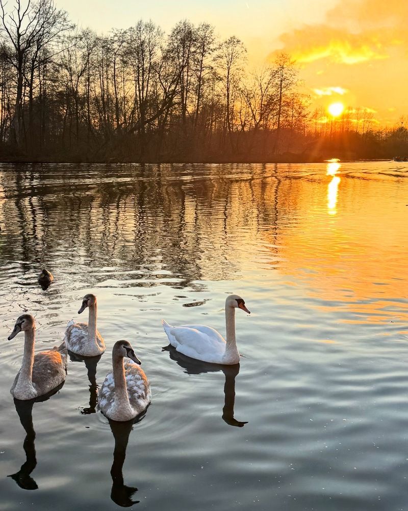 Фотография автора Светлана Герасимук