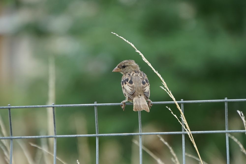 Photograph by сергей мишаков