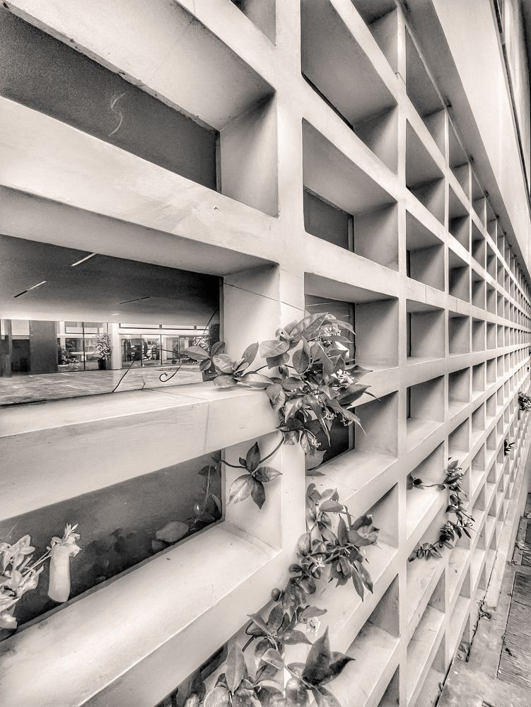 Фотография автора Ольга Лянная