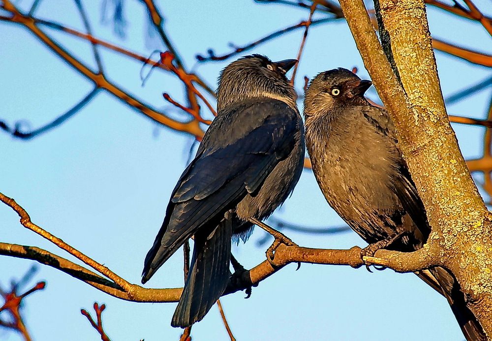 Photograph by Виталий Симоненков