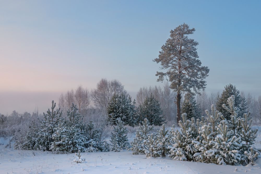 Photograph by Андрей Овсов