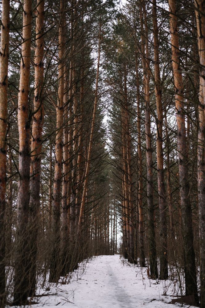 Photograph by Светлана Субботина