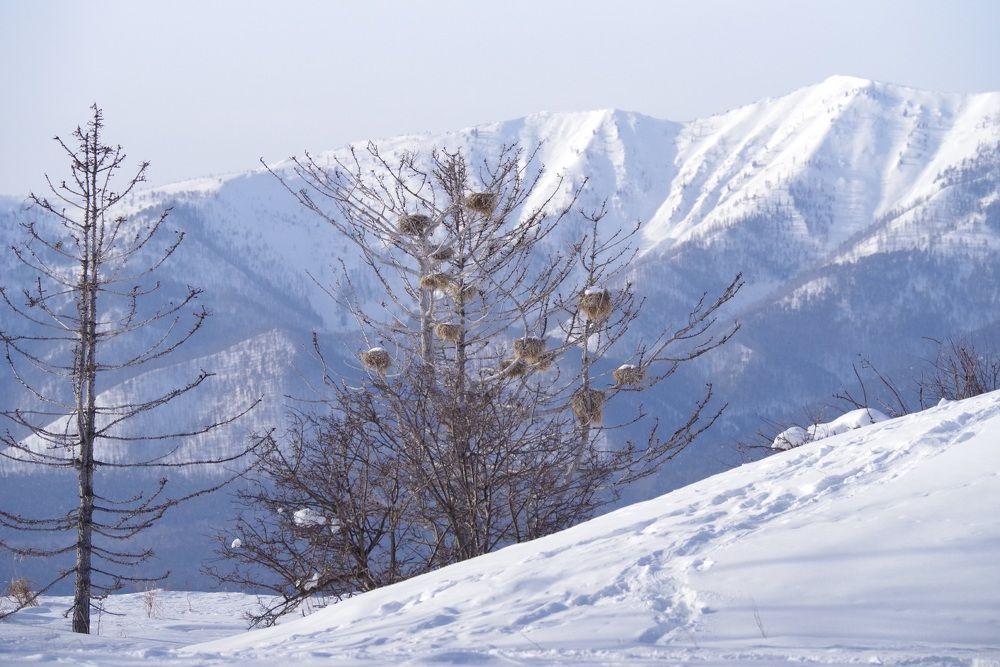 Photograph by Андрей