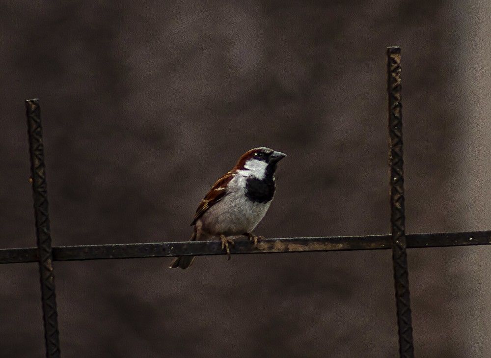 Photograph by Ricardo Sanchez Ruiz