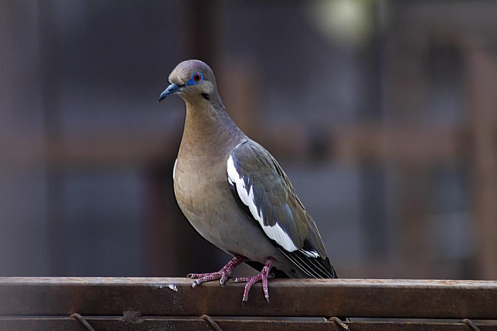 Photograph by Ricardo Sanchez Ruiz