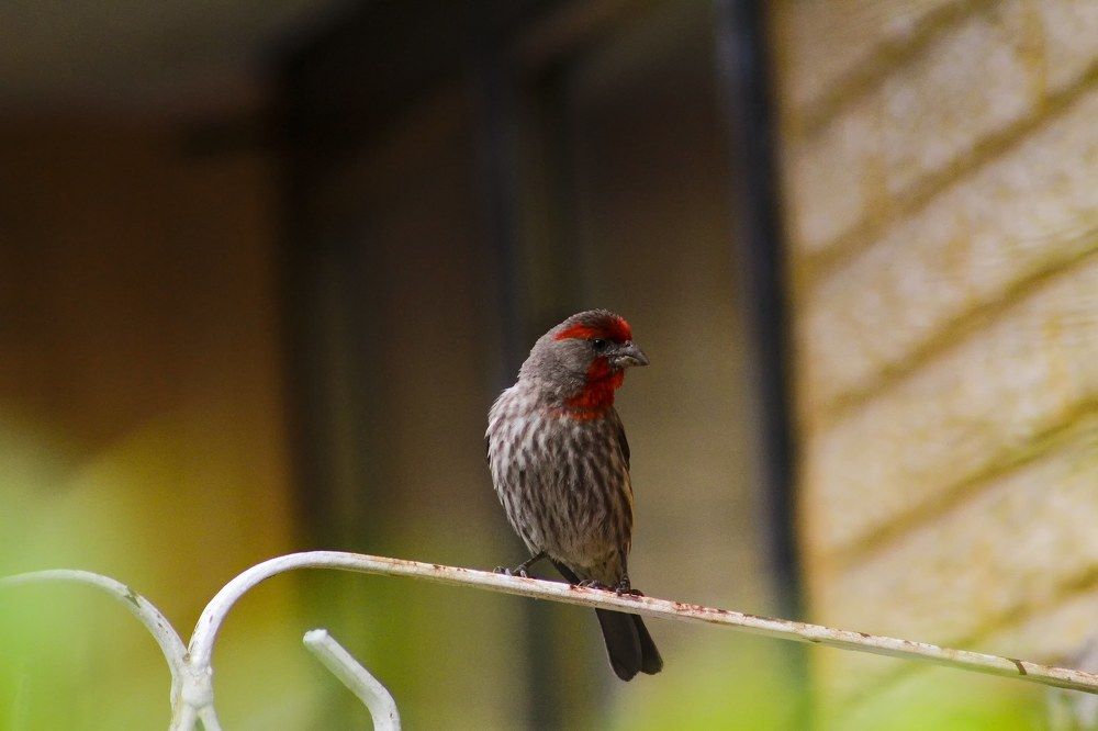 Photograph by Ricardo Sanchez Ruiz