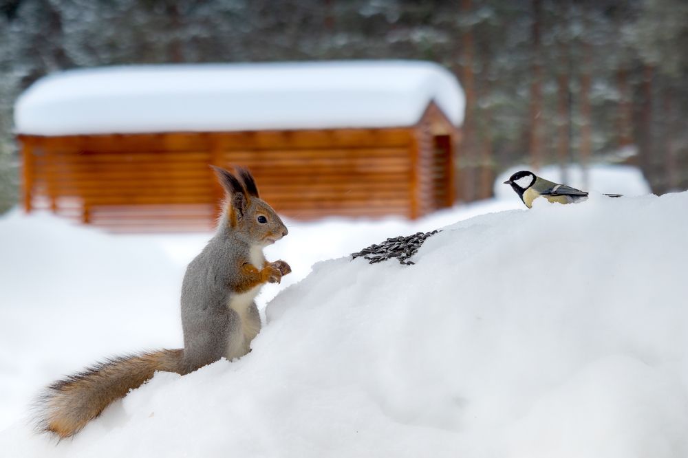 Фотография автора Андрей