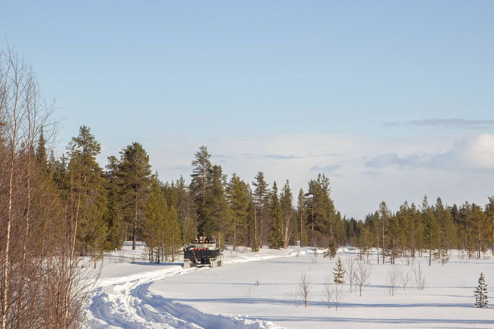 Photograph by Alina Bystrova