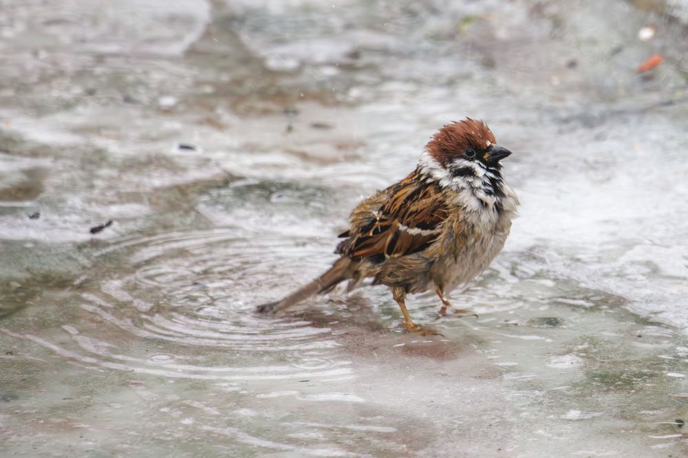 Photograph by Морозов Сергей