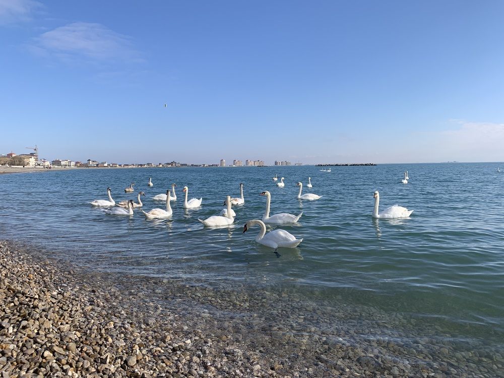 Photograph by Игорь Ребров