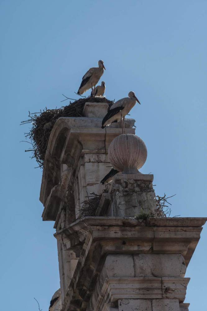 Photograph by Татьяна